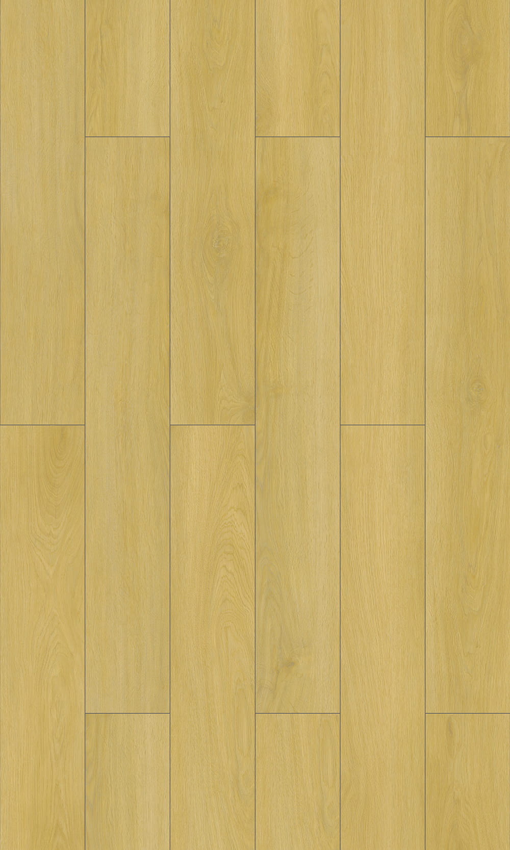 LVT ルーズレイ